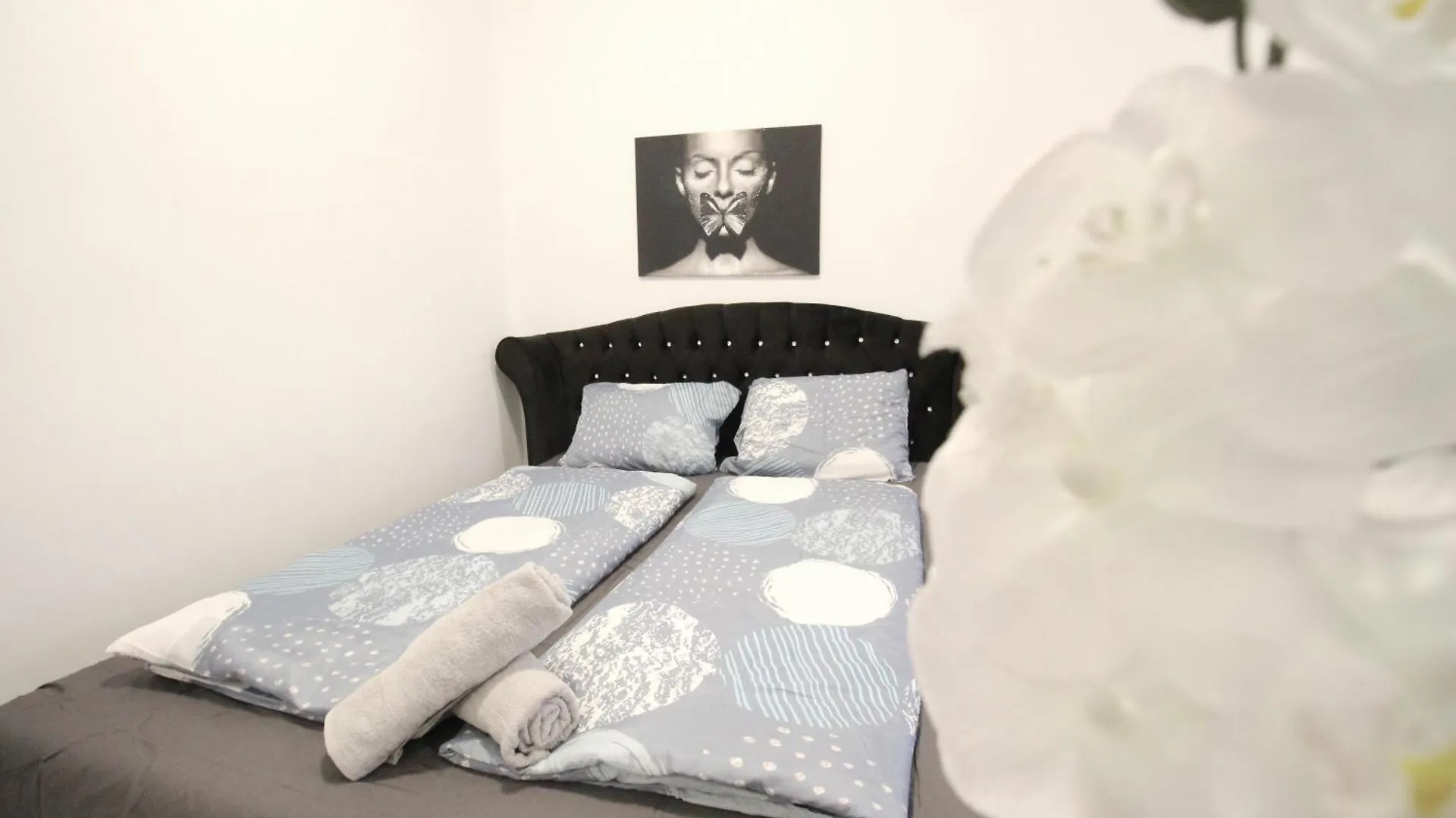 Comfort Apartment Hg 维也纳